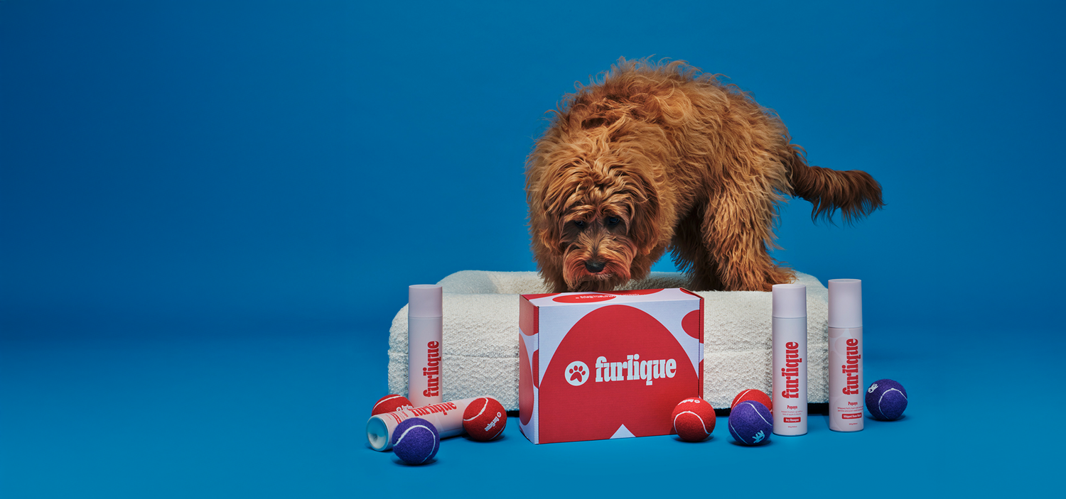 Furlique